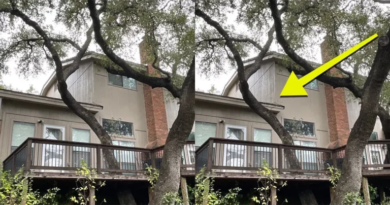 willroofit-insepction-camparison-eaves